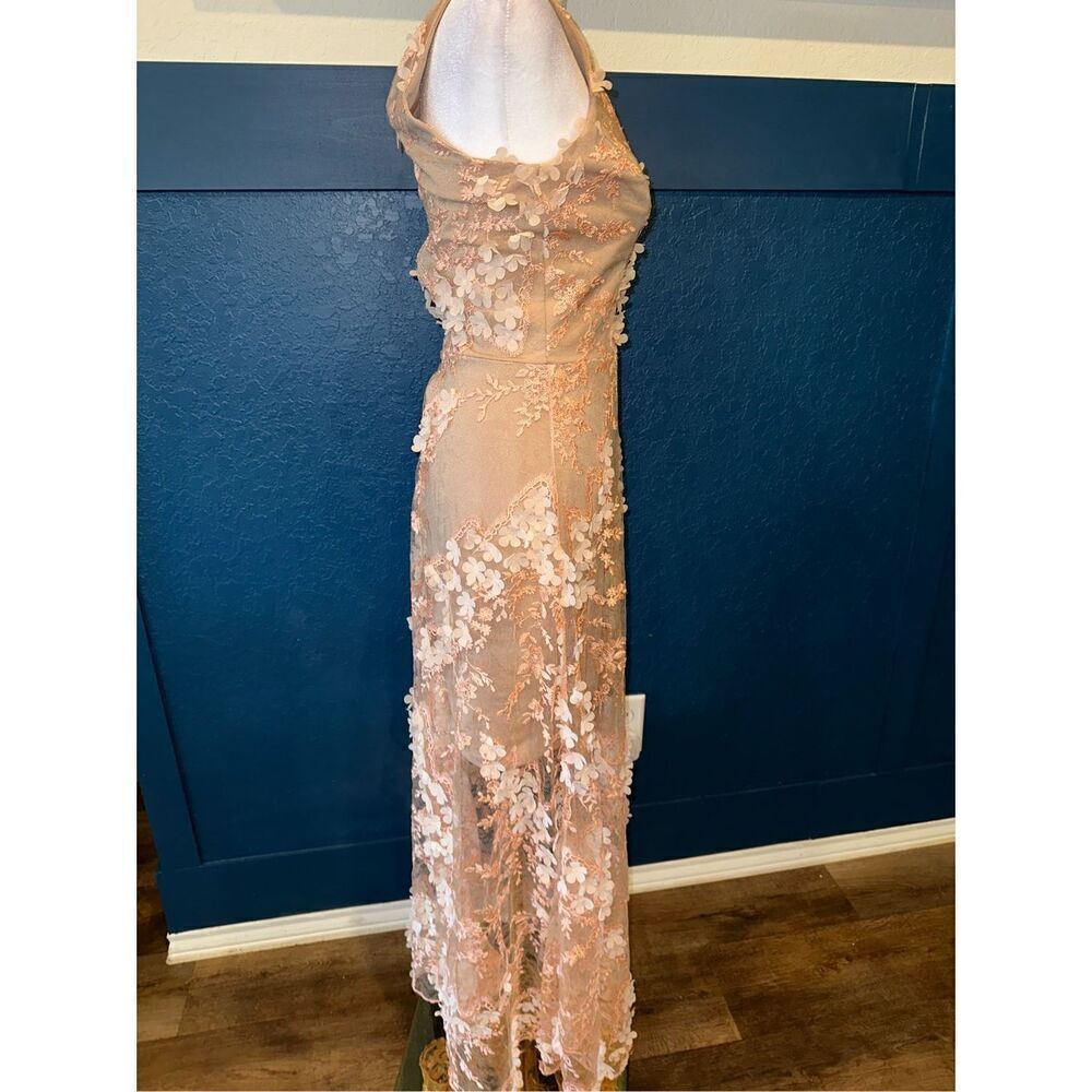 Dress the Population Floral Embroidered Maxi Dress in Blush - Picture 4 of 11